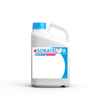 Soratel NL