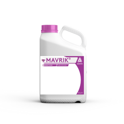 Mavrik NL