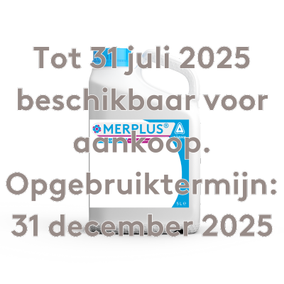 Merplus