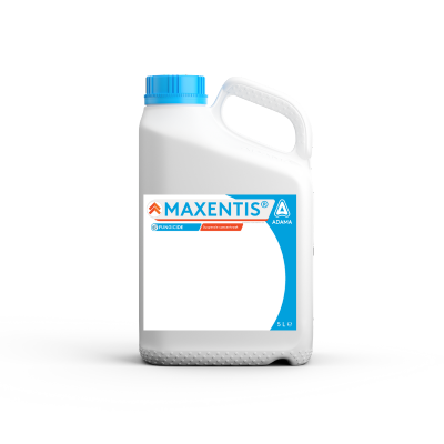 Maxentis