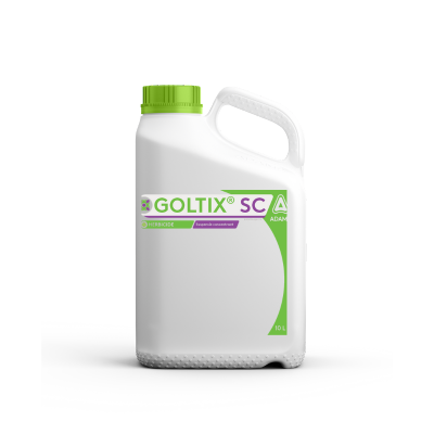 Goltix SC