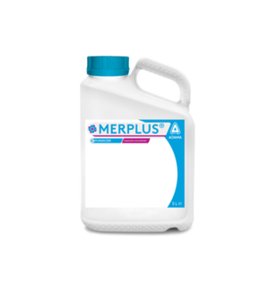Merplus