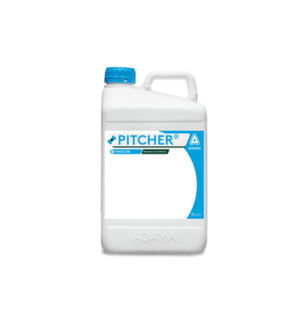 Pitcher