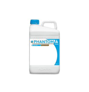 Phantom