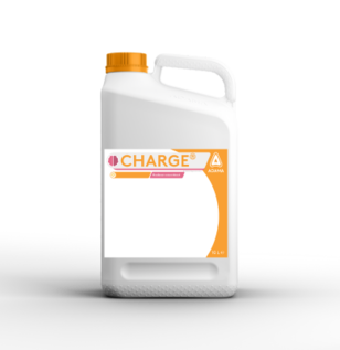 Charge can