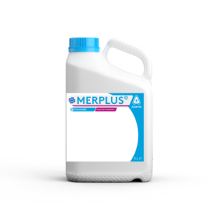 Merplus NL - Fungicide