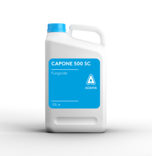 Capone 500 SC