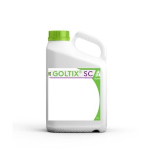 Goltix SC 