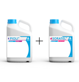 Avastel pack