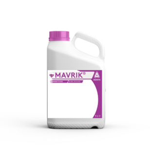 Mavrik NL