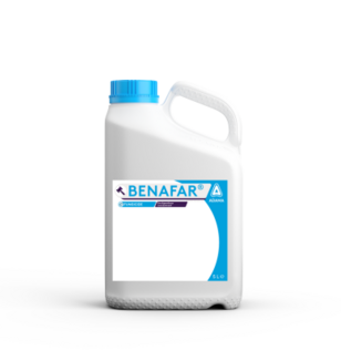 Benafar