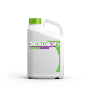 Goltix SC