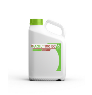 Agil