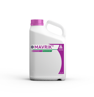 Mavrik