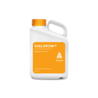 exelgrow