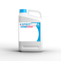 Spirit
