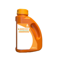Brevis NL