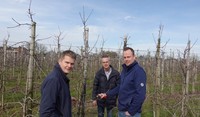Hans, John, Pieter