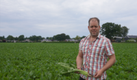 Mark Karstenberg suikerbieten