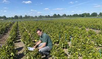 Stephn in het veld