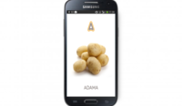 Adama Talent App