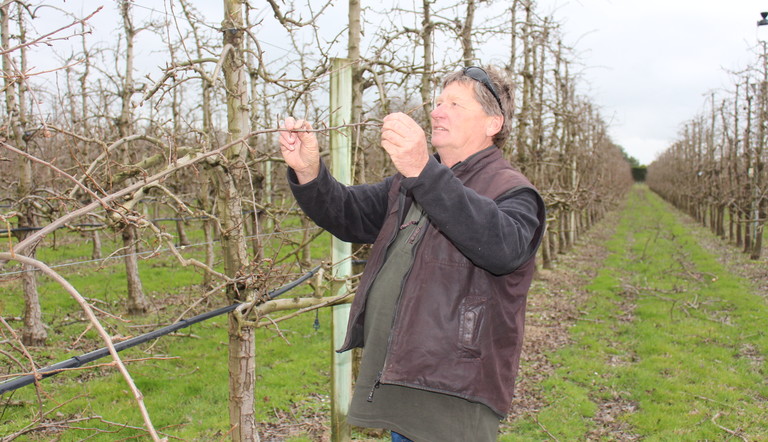 Orchardist Mark Mudgway