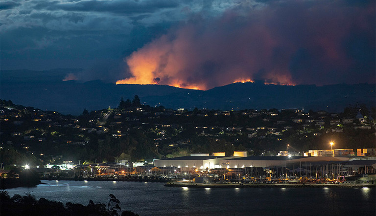 Nelson fires February 2019