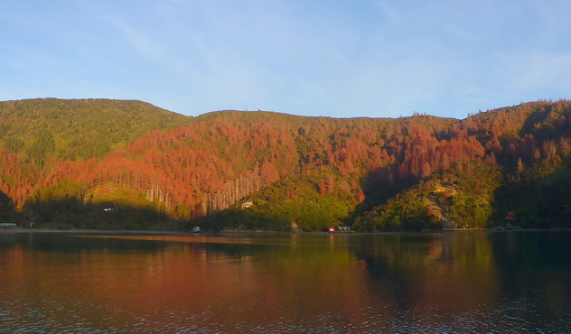 Maraetai Bay-Tory Channel