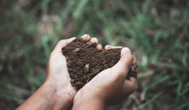 Love your land 