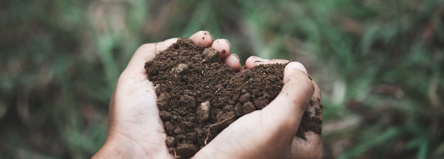 Love your land web