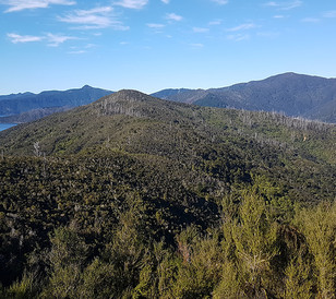 View over Blackwood Bay in the Marlborough Sounds