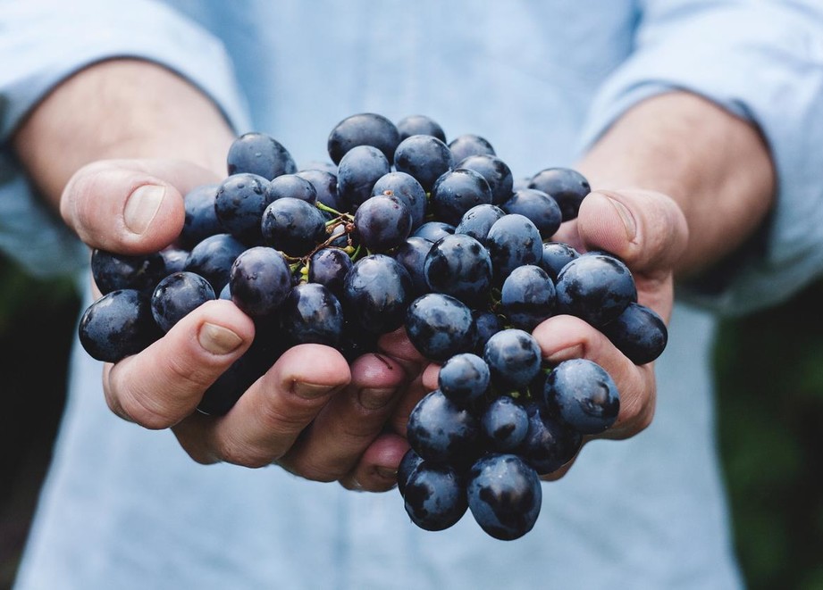 Hands Holding Grapes