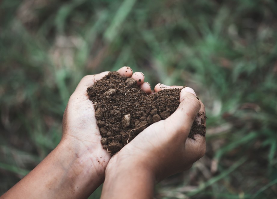 Love your land web
