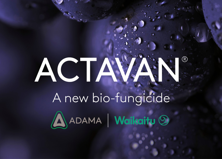 Actavan banner