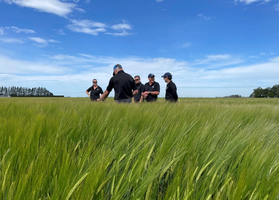 Team barley