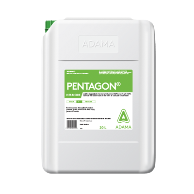 Pentagon