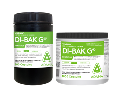 Di Bak G_Packshot