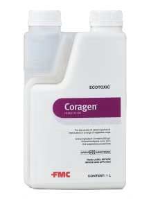Coragen.png