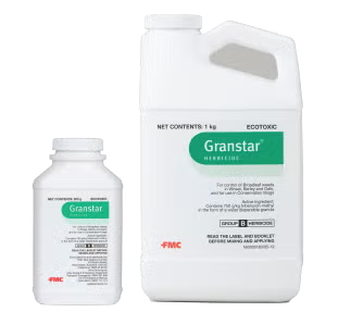 Granstar_0-(1).png