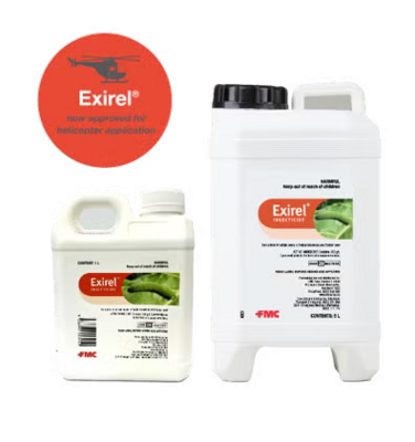 exirel-site3.png