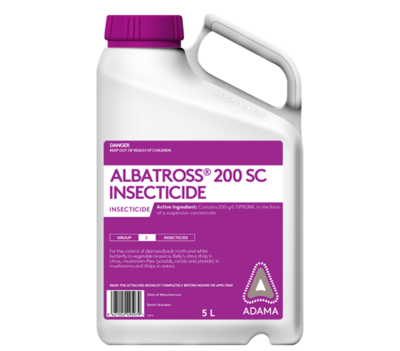 Albatross Packshot