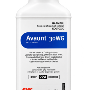 Avaunt bottle.png