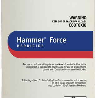 Hammer Force 1L.jpg