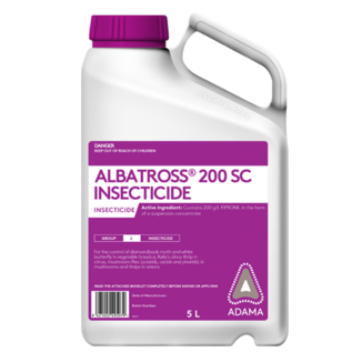 Albatross Packshot