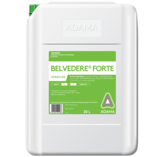 Belvedere Forte pack shot