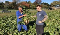 Grower Bruce Tiddy with his bumper sugar beet harvest