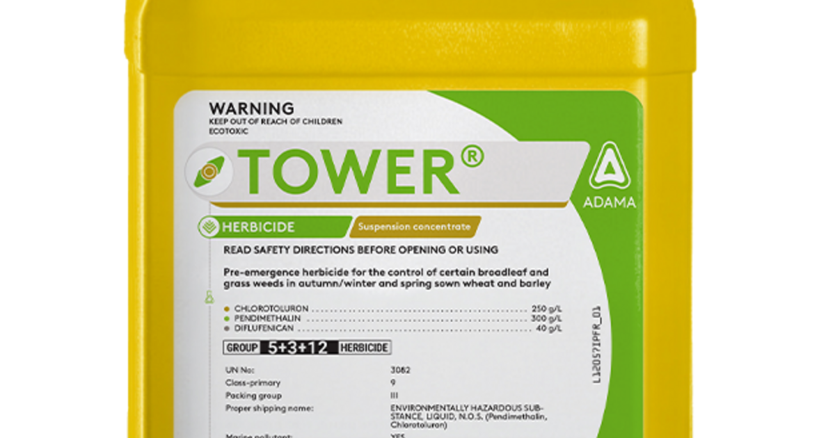 ADAMA | TOWER