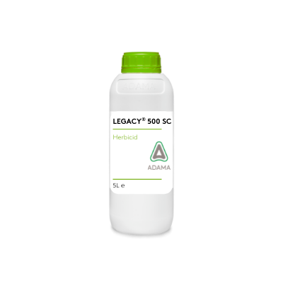 Legacy 1 liter dunk bilde