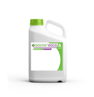 Goltix gold can