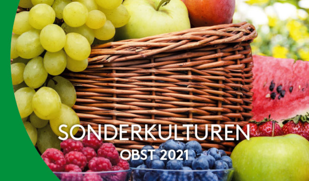 Broschüre - Obstbau 2021 - AT
